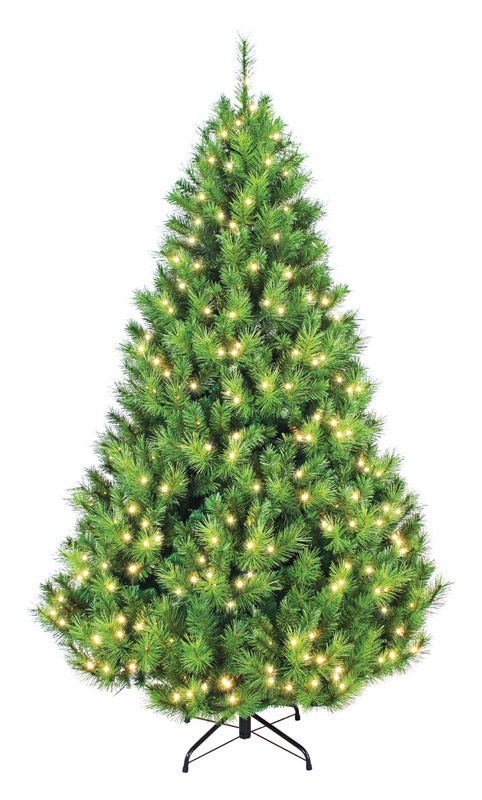 GREENFIELDS CHRISTMAS TREE MAN, Celebrations  7-1/2 ft. Clear  Prelit Scotch Pine  Artificial Tree  500 lights
